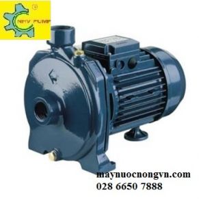 Máy bơm ly tâm trục ngang đầu gang Ebara CMA 1.00M